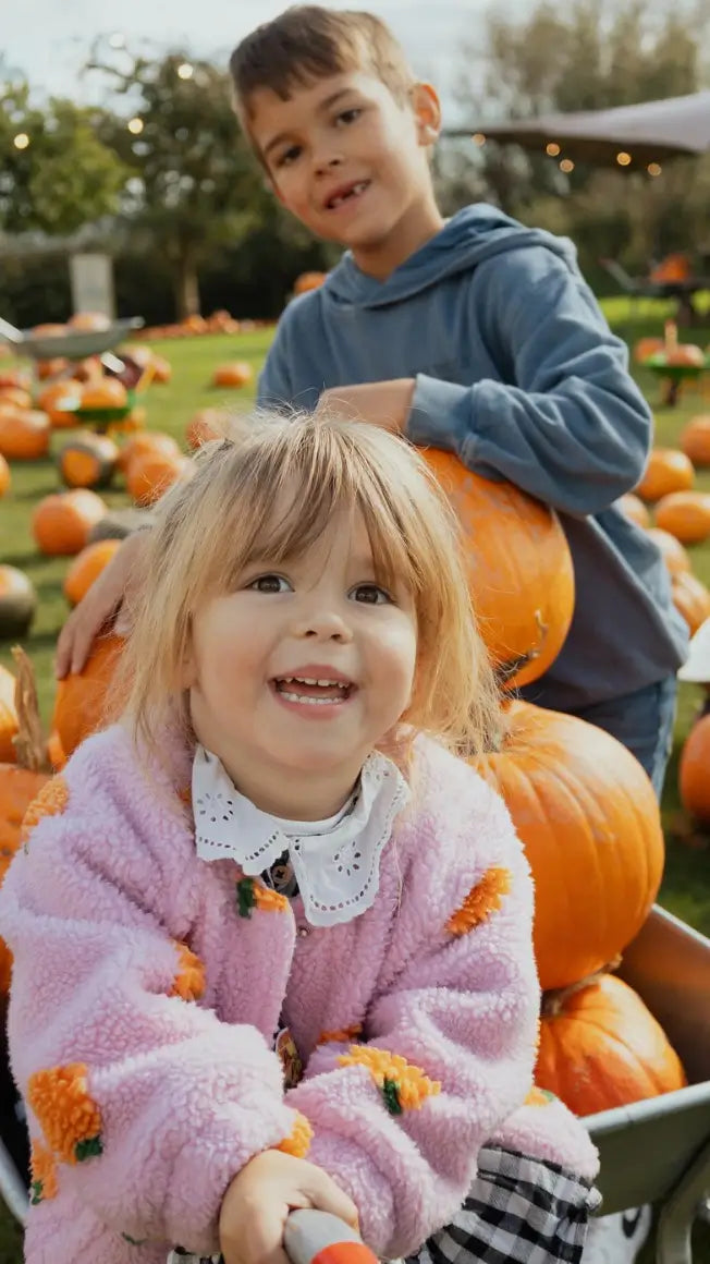two children at a pumpkin patch, a girl in a pink sweater smiling while sitting in a wheelbarrow, a boy behind her