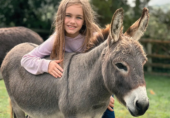 a young girl smiles while hugging a grey donkey in a grassy field, with another donkey visible in the background
