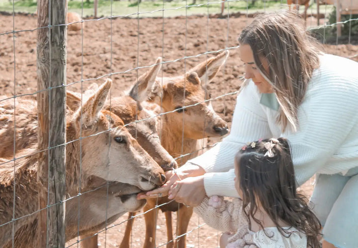 A woman and a child feed deer through a fence at a farm.