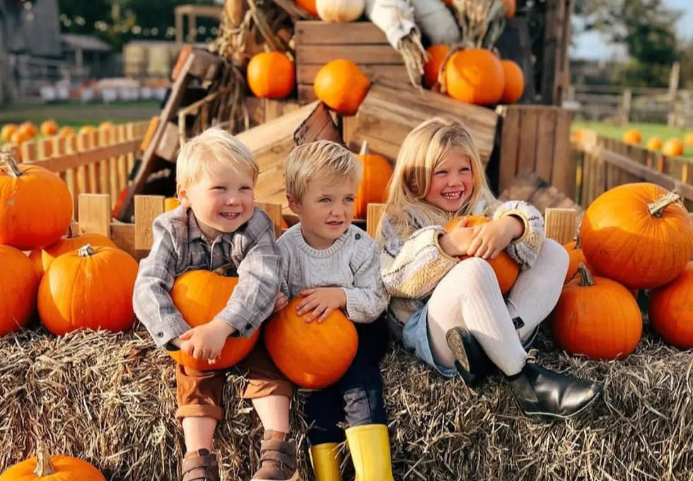Pennywell Farm Pumpkin Festival 2026