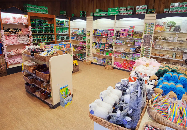 a gift shop interior filled with plush toys, games, and various merchandise displayed on shelves and tables