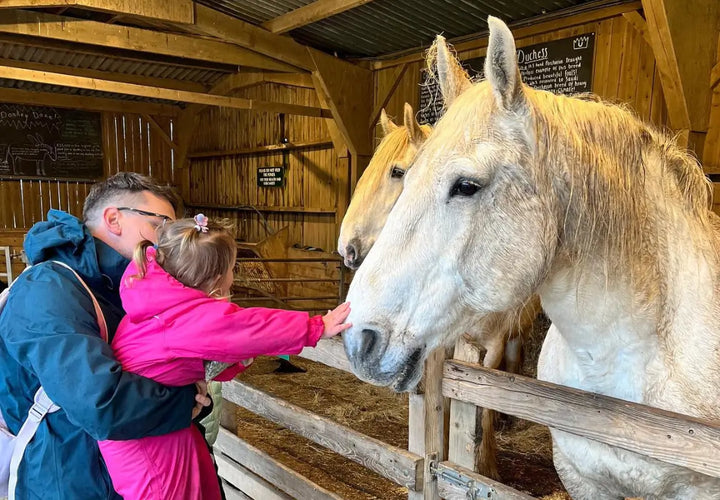 a child in a pink coat reaches out to touch two white horses in a stable, while an adult holds her from behind