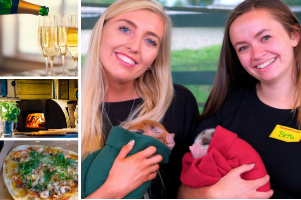Piggies and prosecco event