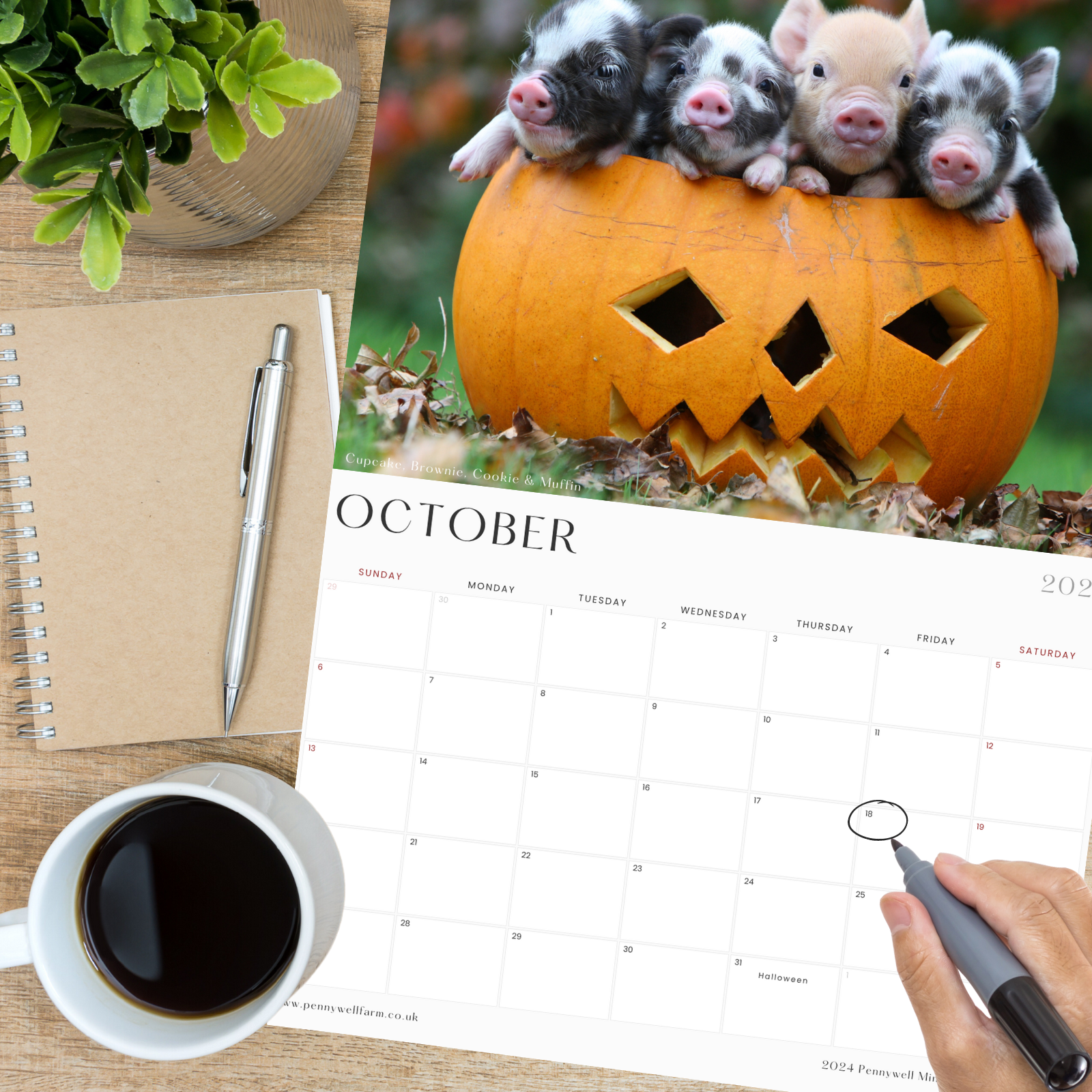 Piggy Calendar