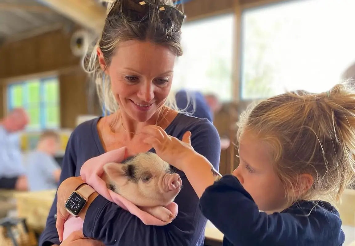 Pennywell Farm Day Ticket: A Full Day Out at Devon’s Award-Winning Farm Park