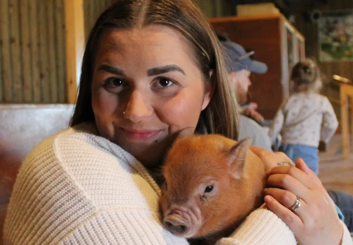 Pennywell Miniature Pigs