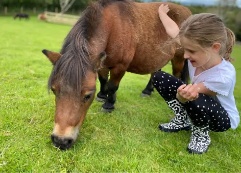 Meet the Pennywell Ponies