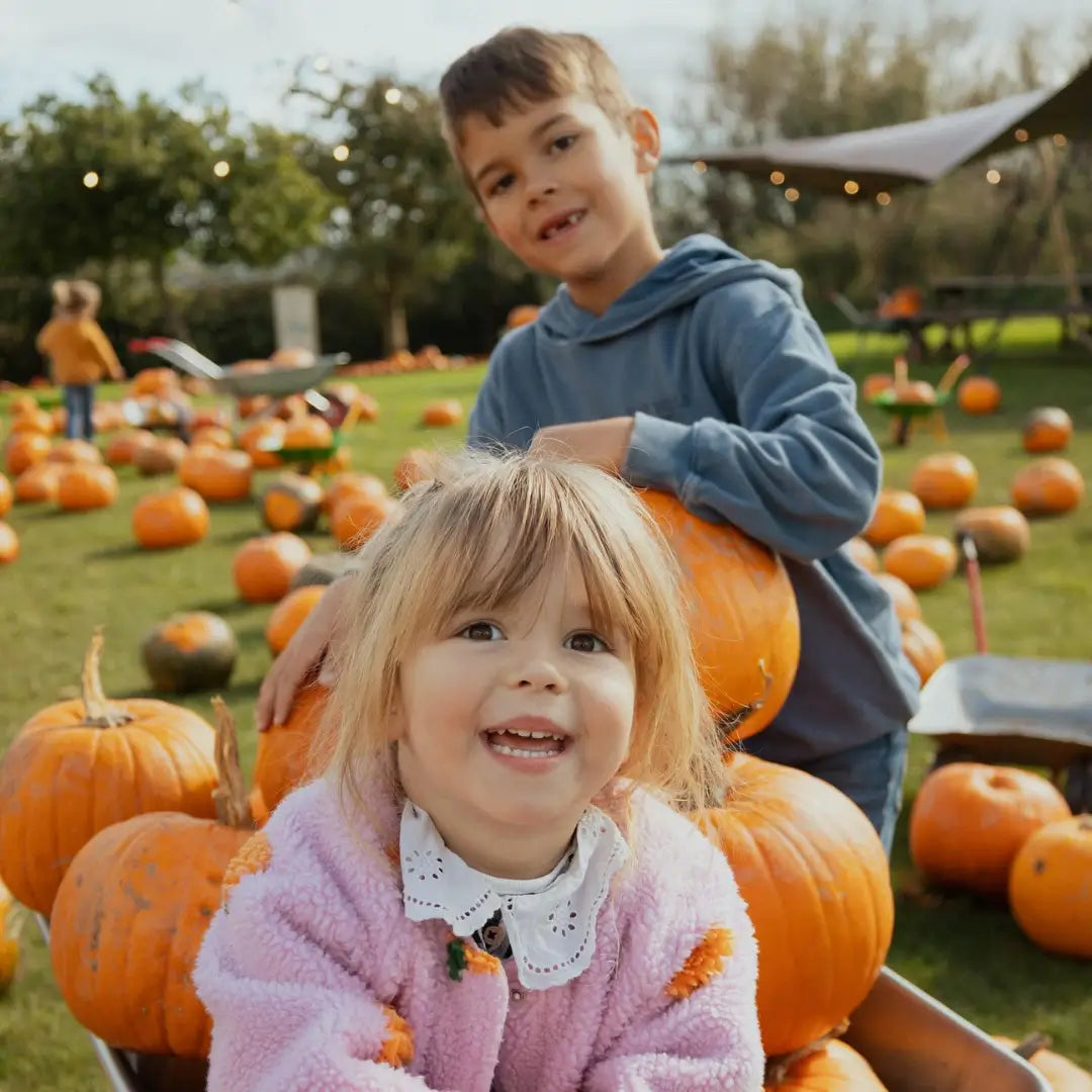 🎃 Access to the Pumpkin Patch