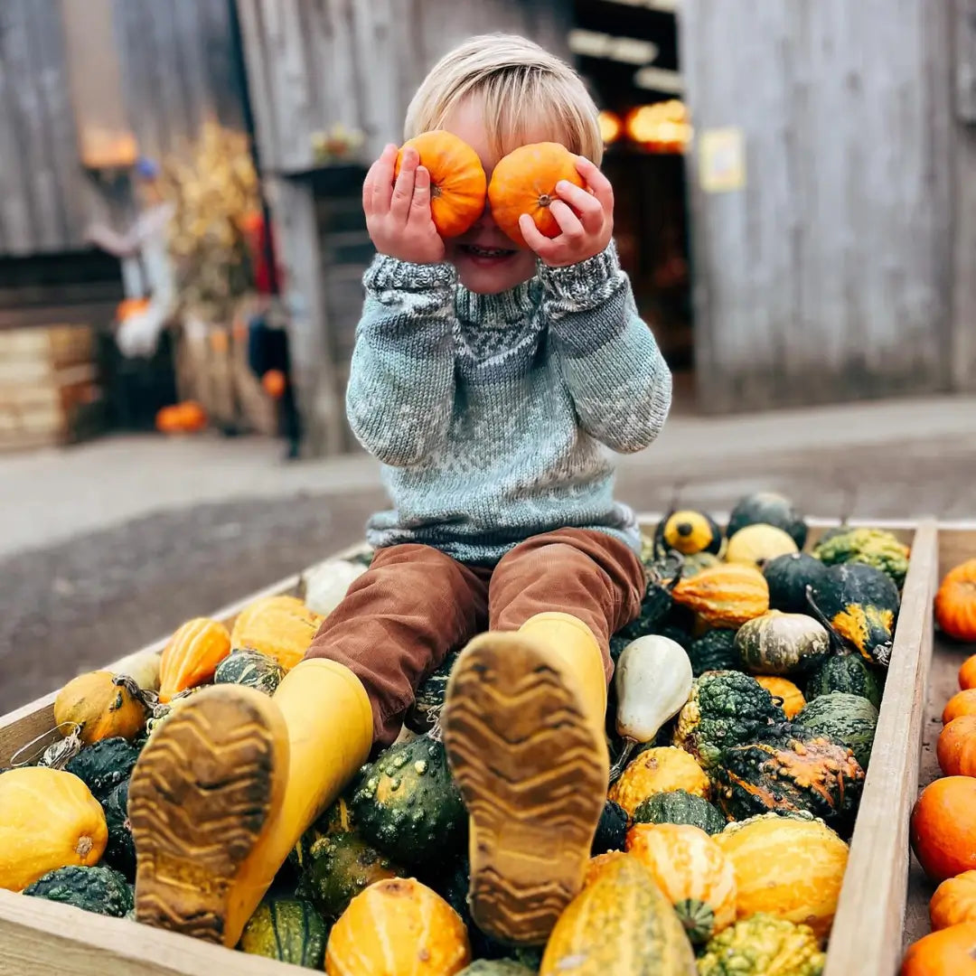 🧺 Selection of Gourds and More to Choose From
