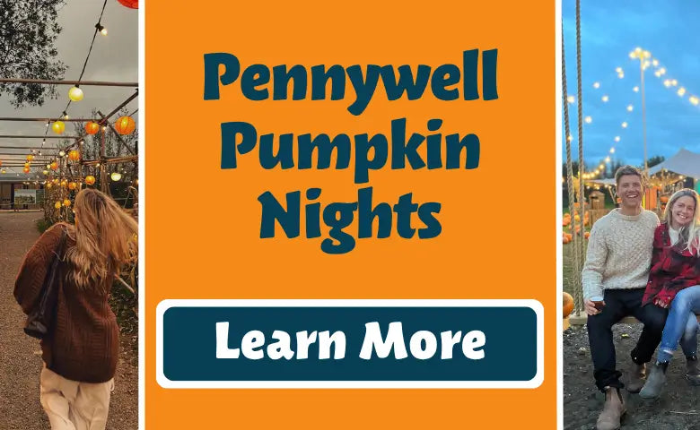 Pumpkin Nights