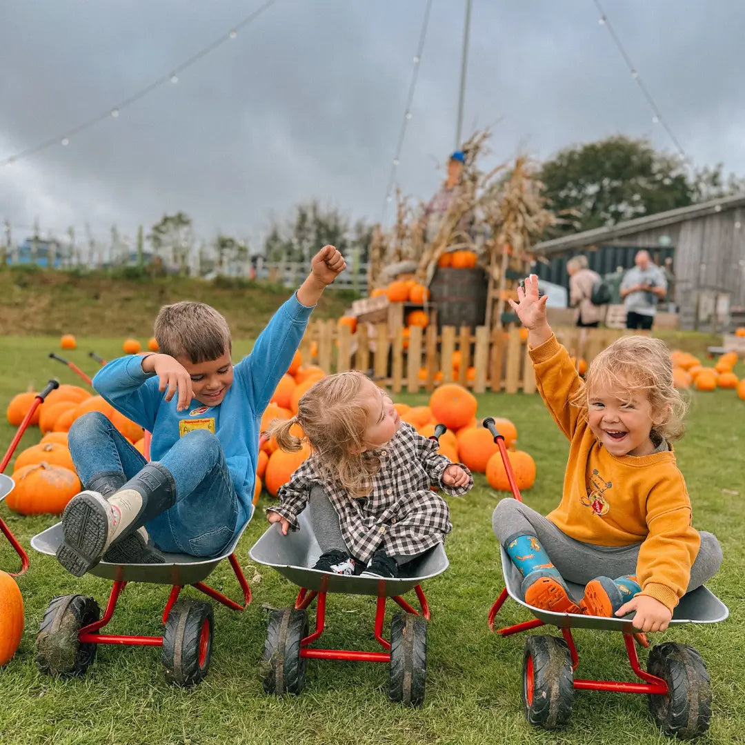 🎲 Paddy the Pumpkin's Games