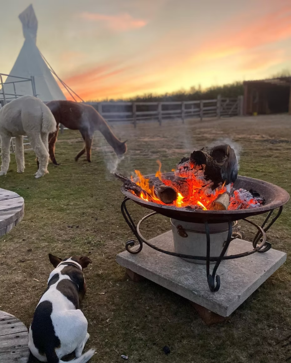 Gatcombe Park Farm Glamping