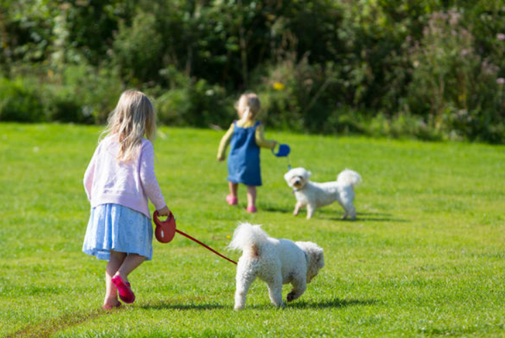 Whitehill Country Park