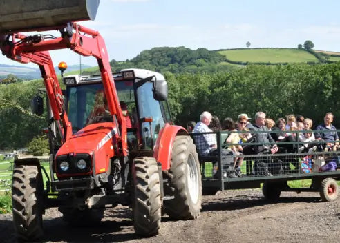 Pennywell Farm Day Ticket: A Full Day Out at Devon’s Award-Winning Farm Park