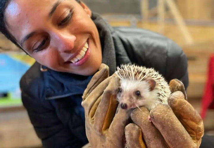 a smiling woman in gloves holds a small hedgehog close to her face in a warm indoor setting