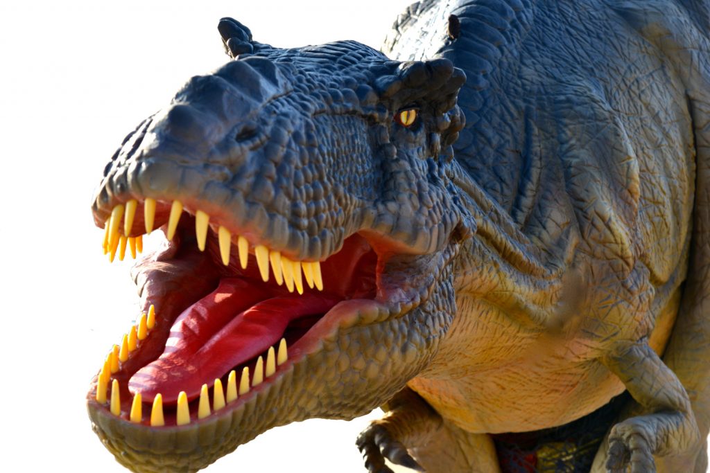 Dinosaur Day with Rex , the T-Rex - Pennywell Farm News