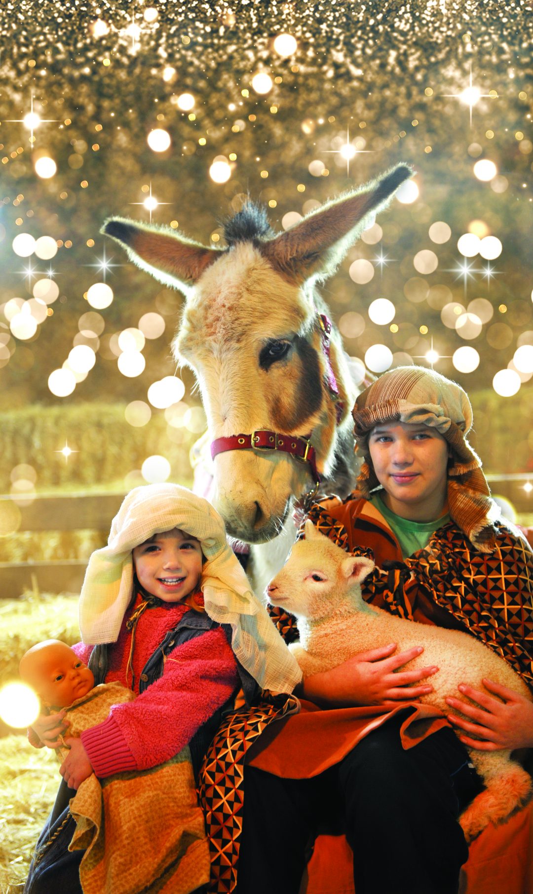 Christmas 2022! Experience The Magic At Pennywell Farm. Pennywell